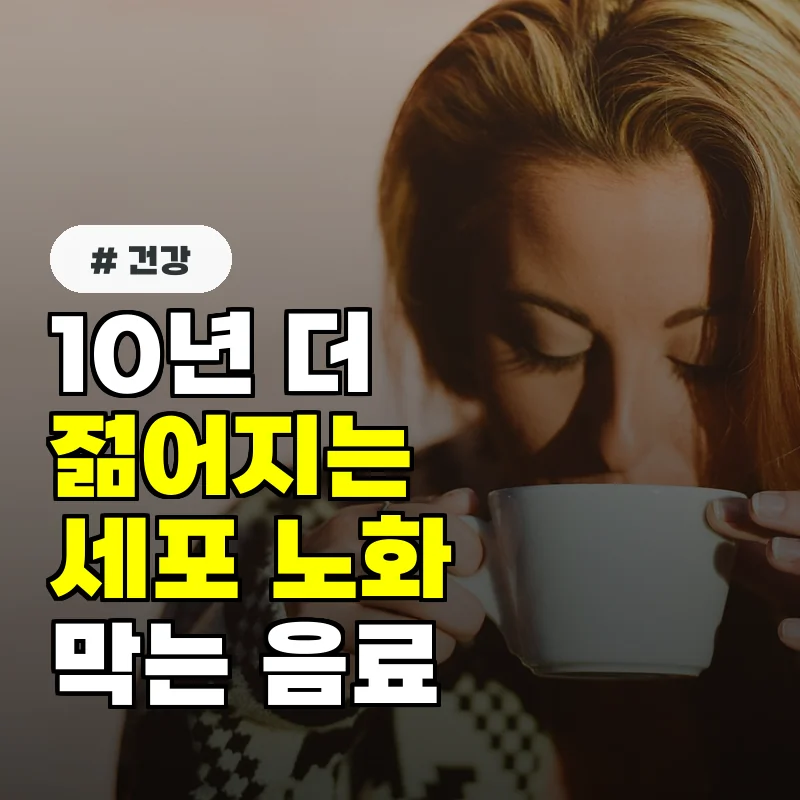 10년 더 젊어지는 기적 세포 노화 막는 음료 한 잔의 비밀
