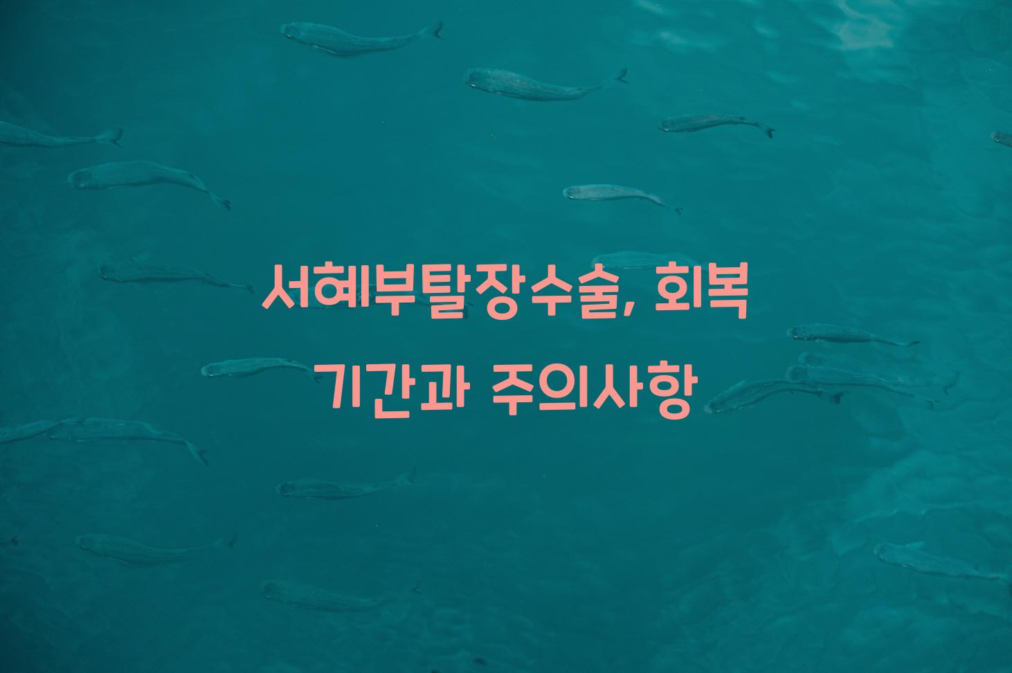 서혜부탈장수술