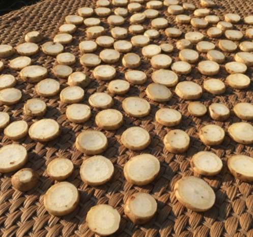 돼지감자 말리는 이미지