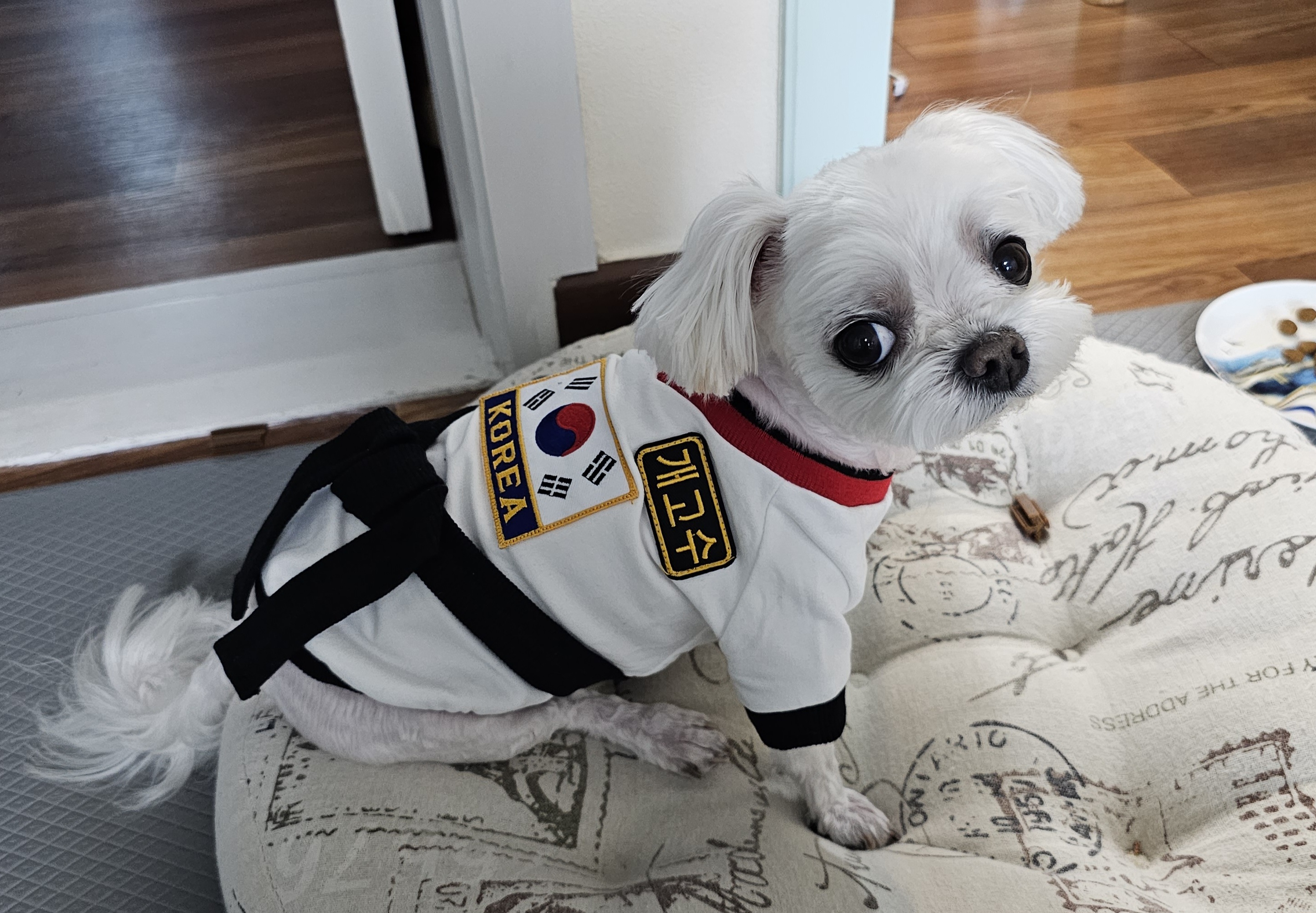 또리