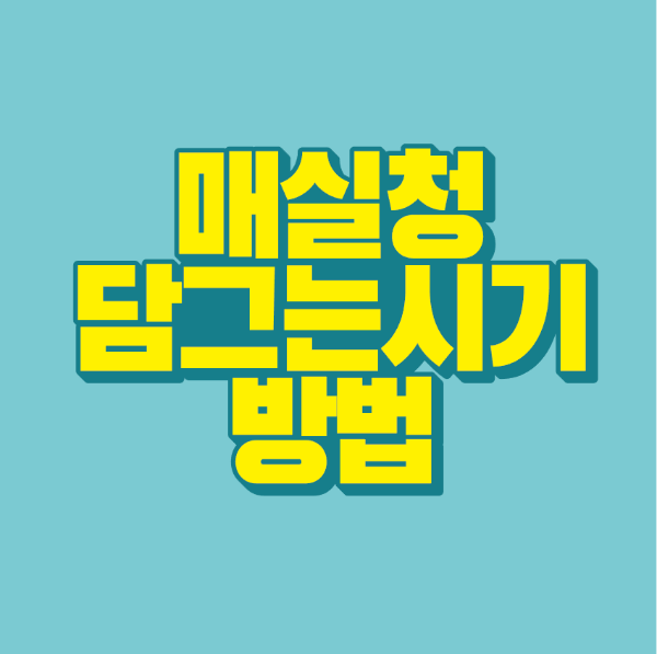매실청-담그는-시기-방법