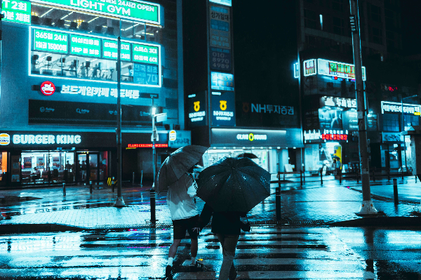 장마 관련 사진
