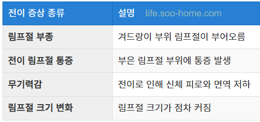 림프절 전이와 암세포 확산 징후