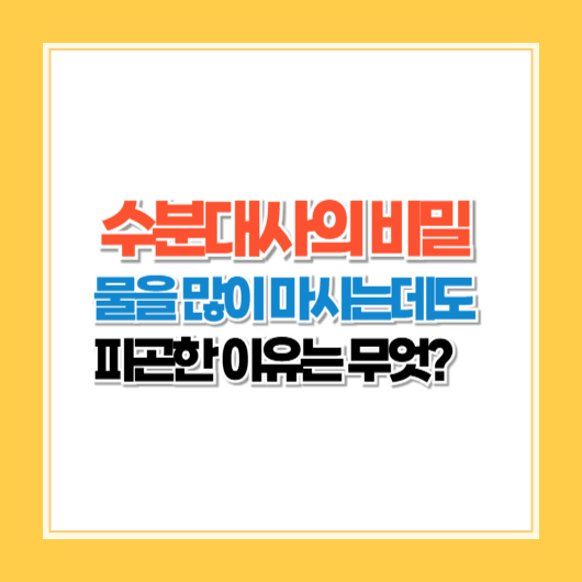 수분 대사의 비밀: 물을 많이 마셔도 피곤한 이유