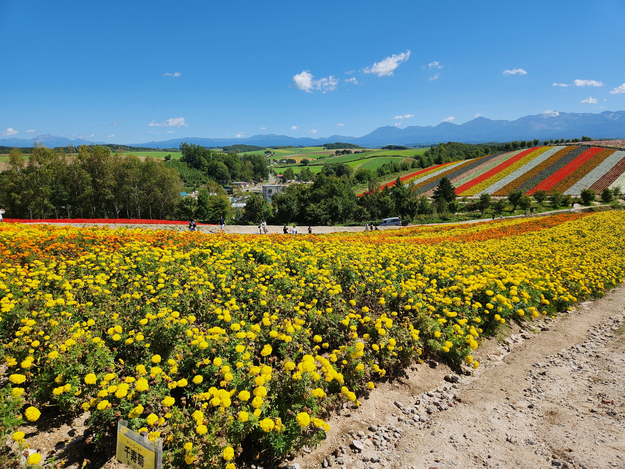 사계체 언덕 - 16
