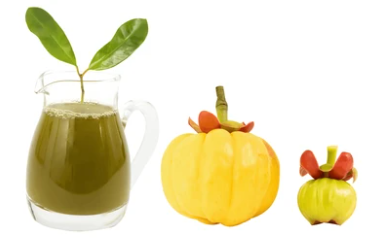 가르시니아 복용법