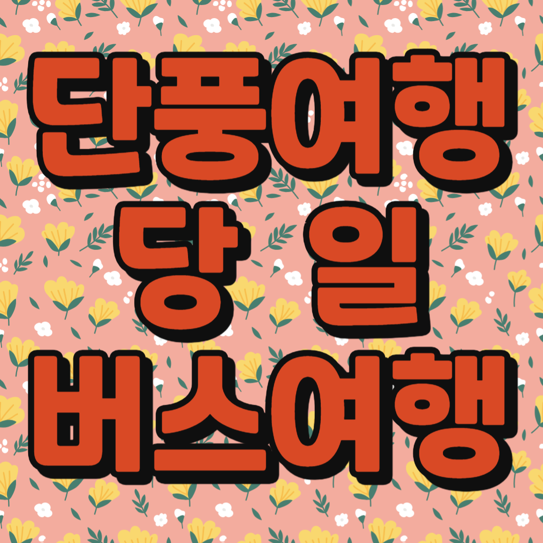 단풍여행 당일 단풍버스여행