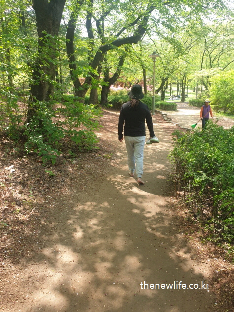 Woman walking barefoot on a soft dirt trail at Children's Grand Park-어린이대공원 흙길 위를 맨발 걷기를 하는 여성의 모습