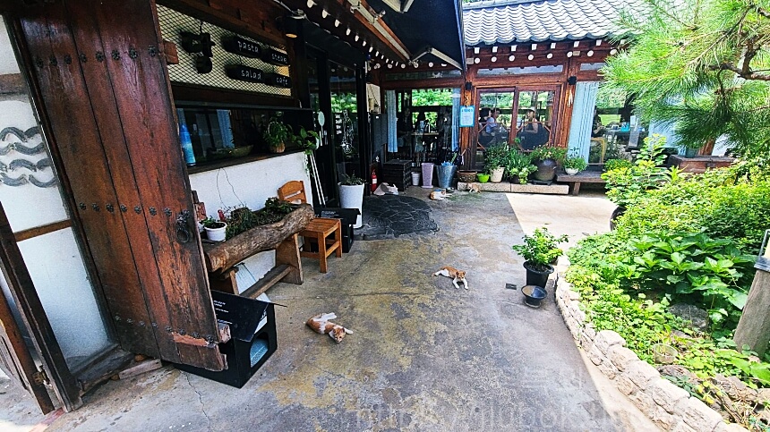 이당-비스트로-한옥-마당-3