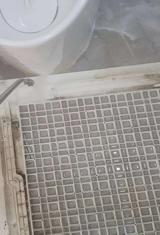 힐링스크린골프장