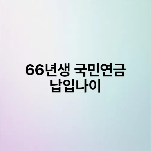 66년생 국민연금 납입나이