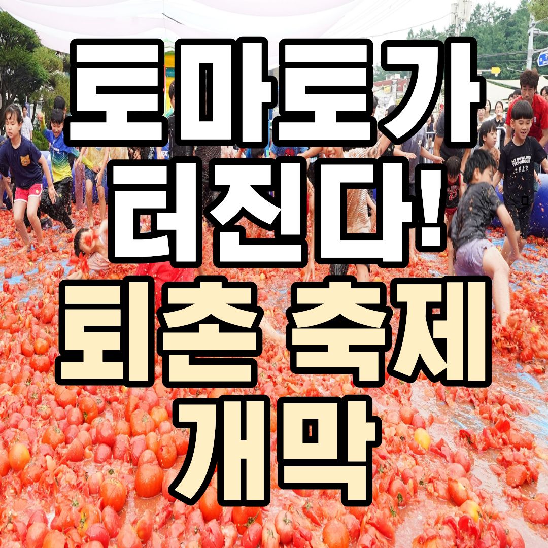 퇴촌 토마토 축제 2026 일정 공연 체험 주차장 안내