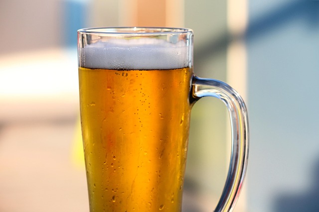 인천 송도 맥주축제