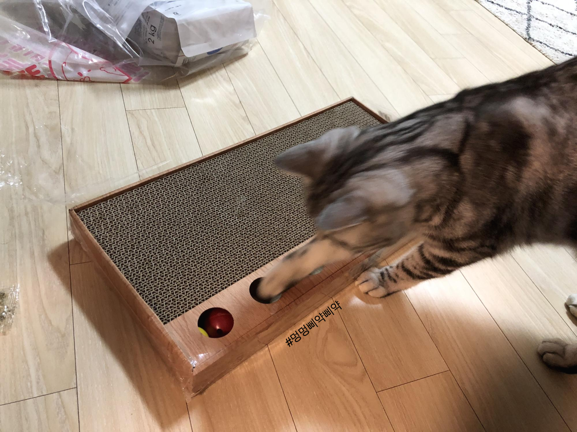 스크래쳐 추천2