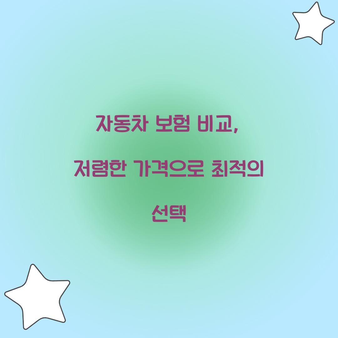 자동차 보험 비교