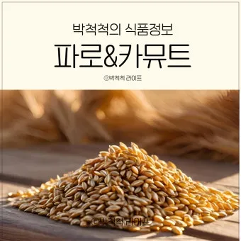 파로 효소 복용법 다섯 가지 방법과 식사와의 궁합_8