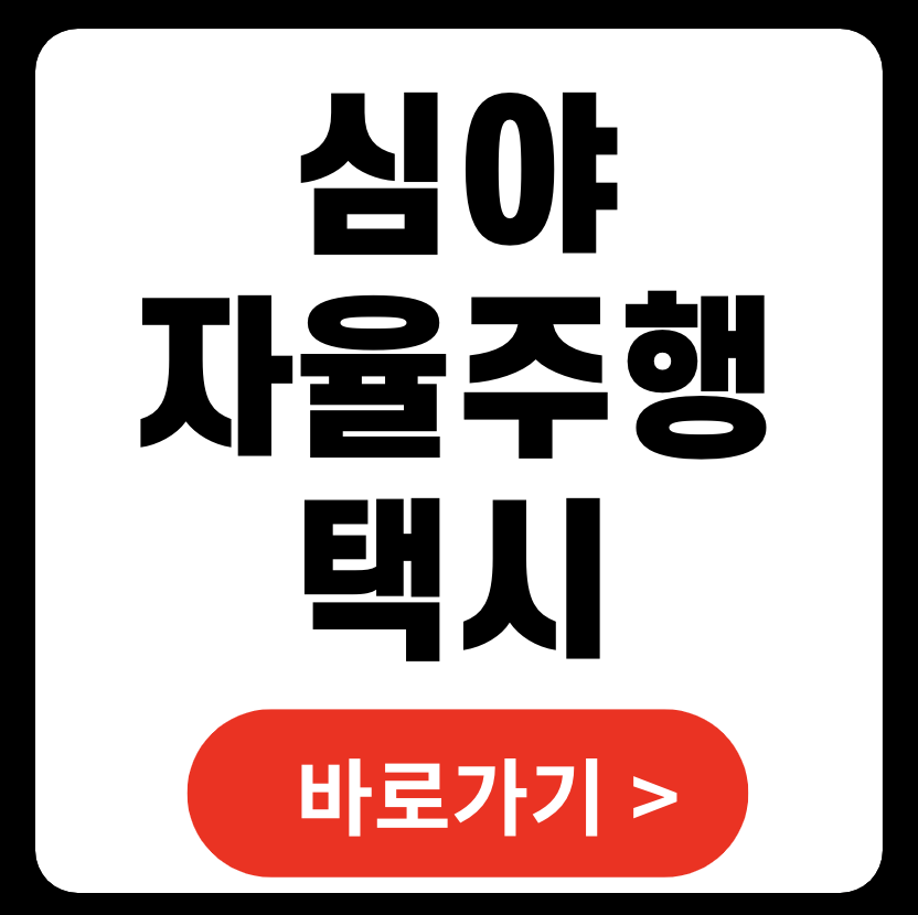 심야 자율주행 택시, 무료 운행 (+ 카카오T맵)