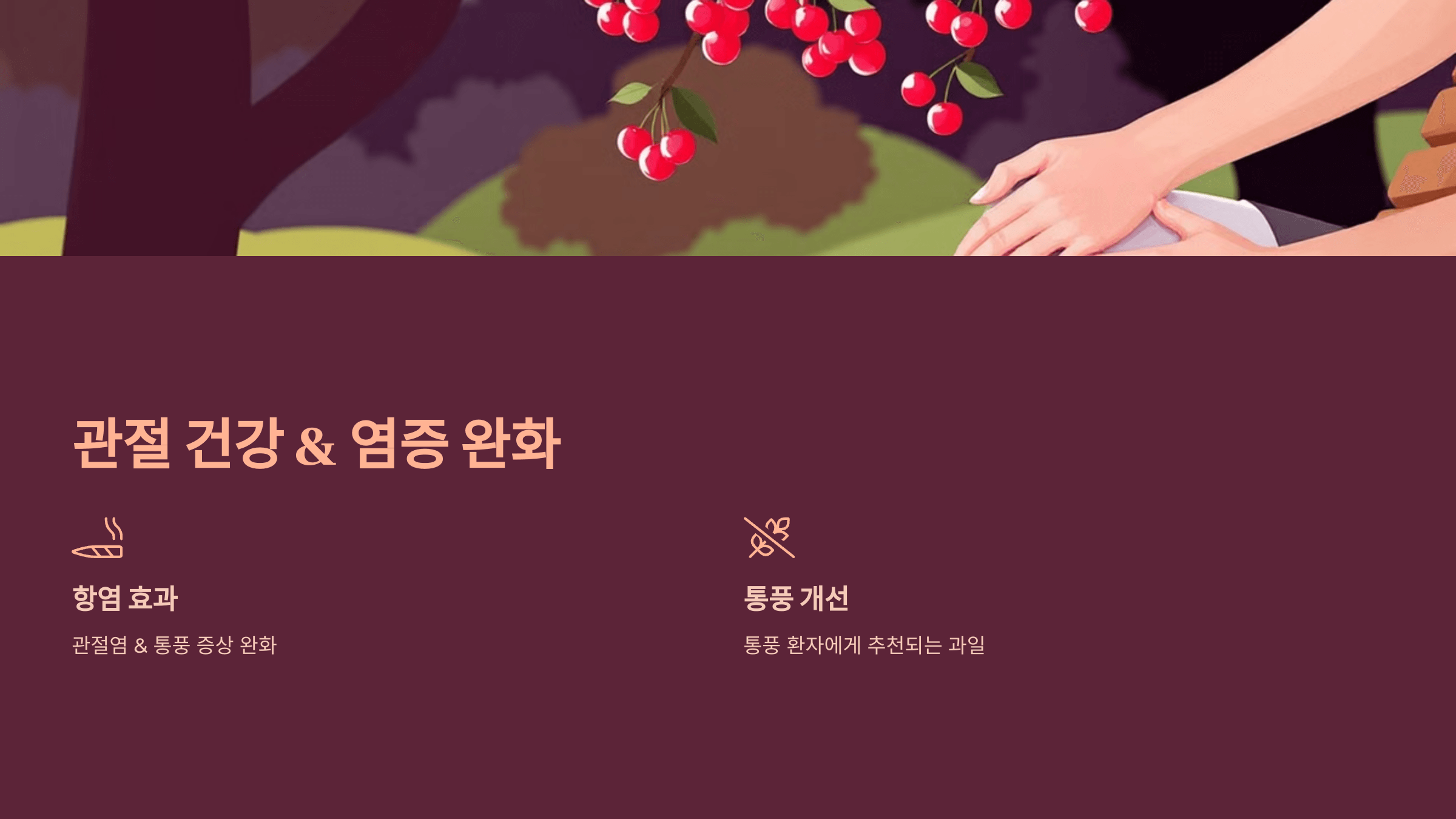 체리 사진입니다.