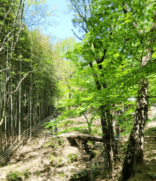 소쇄원