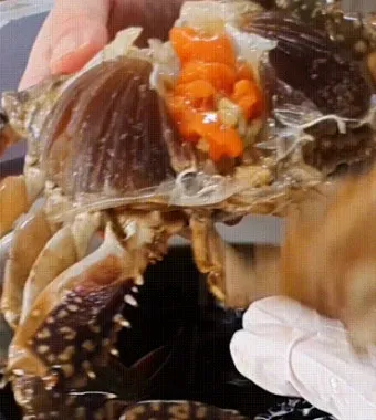 6시 내고향 참게가리장 참게장정식 하동 맛집 정리_9