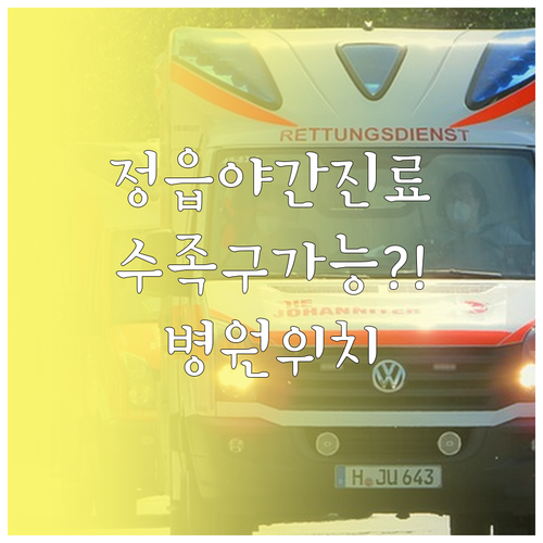 정읍시 수족구 진료 가능 병원 야간 ..