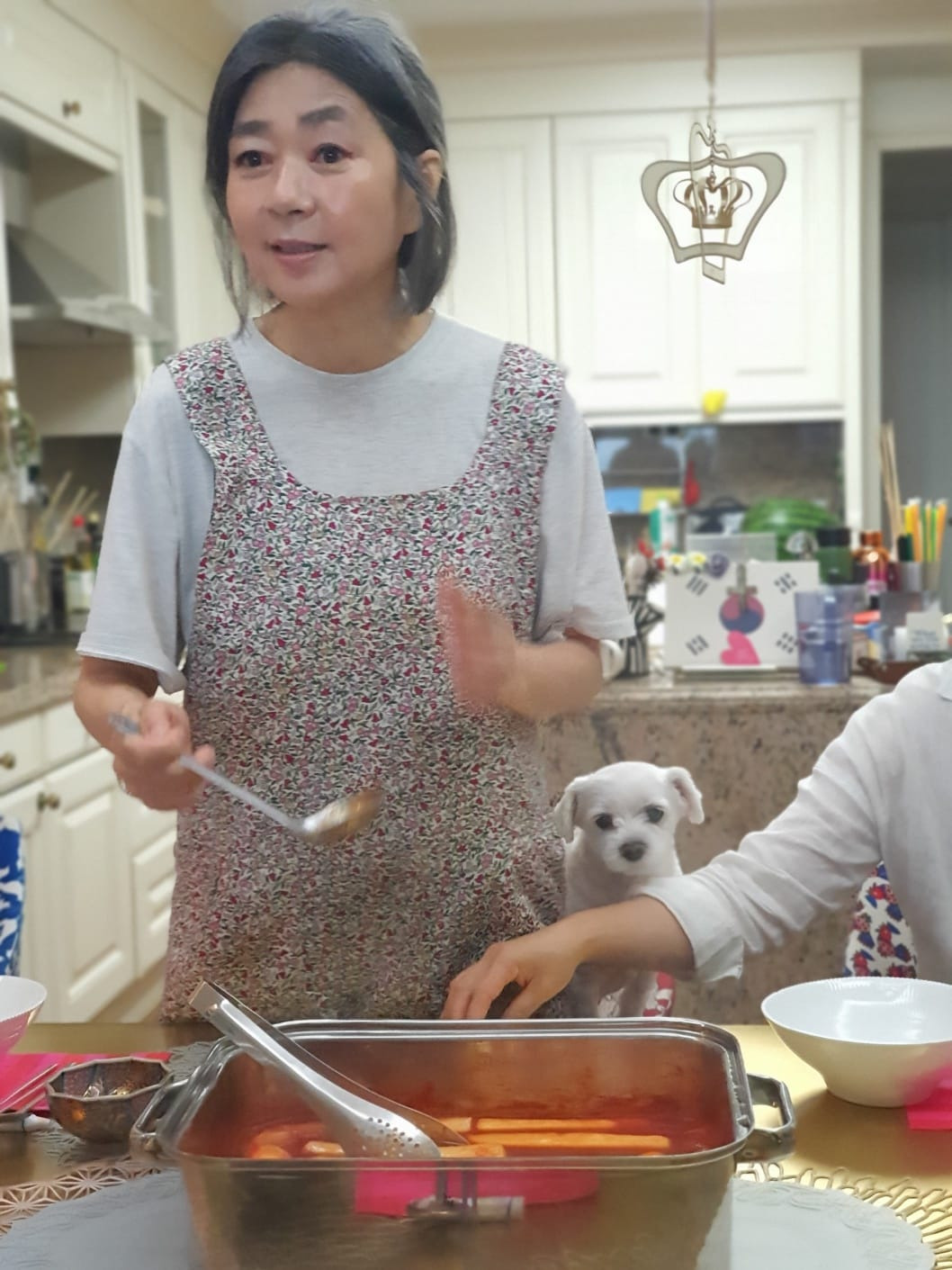 김행 정치 경력