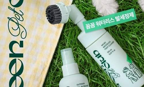 제주 반려동물 동반여행 구팔일 댕댕이 레이싱