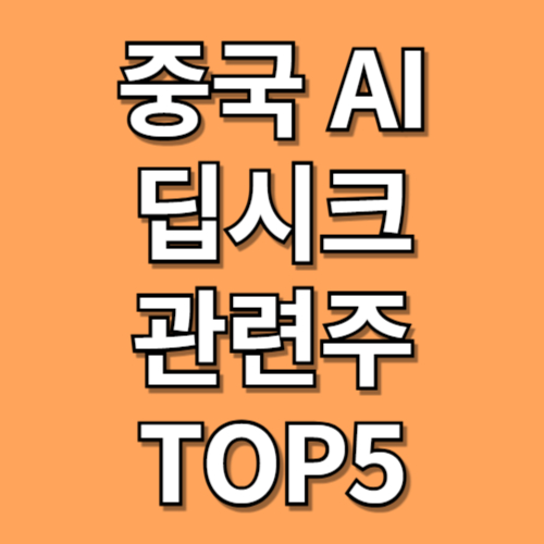중국 AI 딥시크