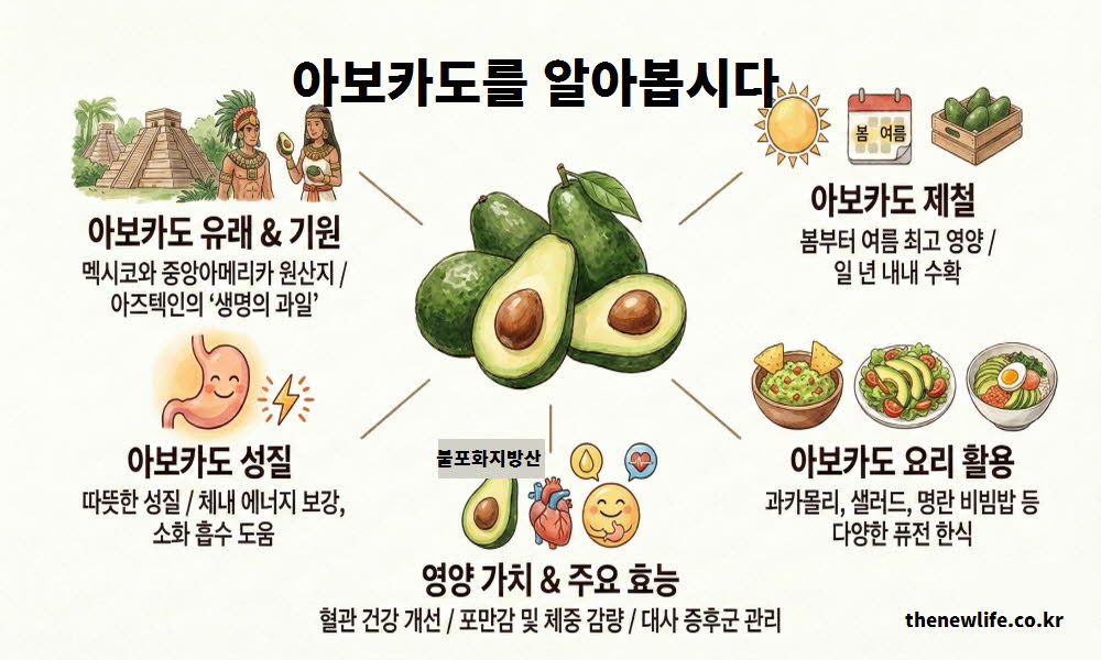 아보카도 효능의 오랜 역사와 생명의 과일로 여겼던 유래와 기원을 설명하는 이미지