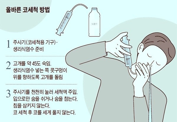 코 세척 방법