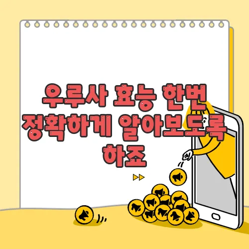 우루사 효능 한번 정확하게 알아보도록 하죠