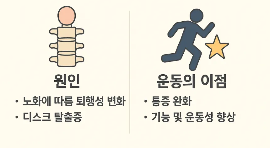 허리 협착증에 좋은 운동