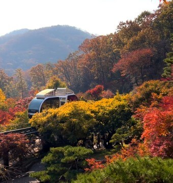 화담숲 예약