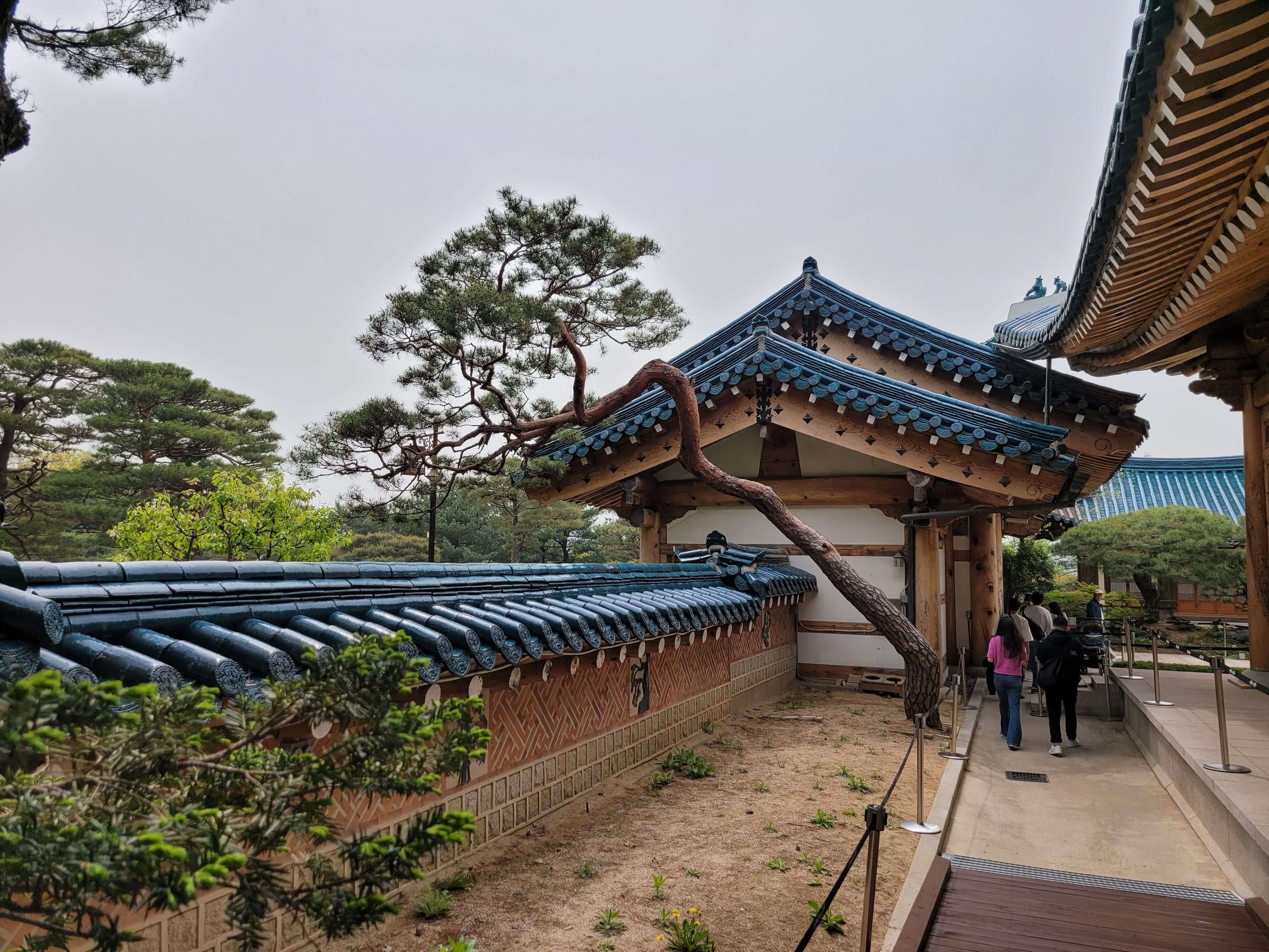청와대 관람신청 예약방법 후기 맛집