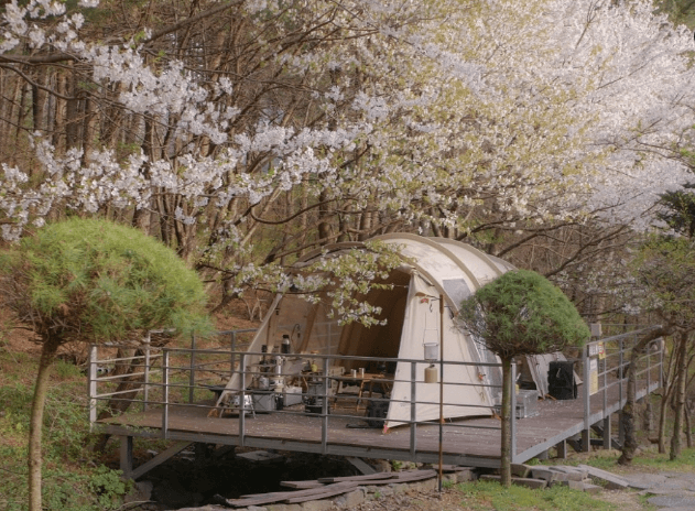 꽃구경 가볼만한 곳