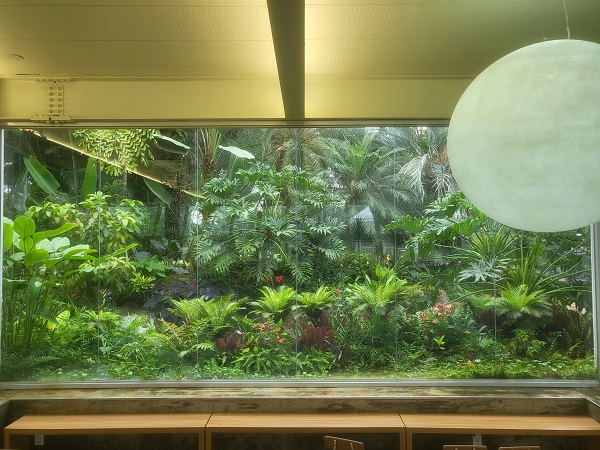 부천 수피아 식물원 숲 멍