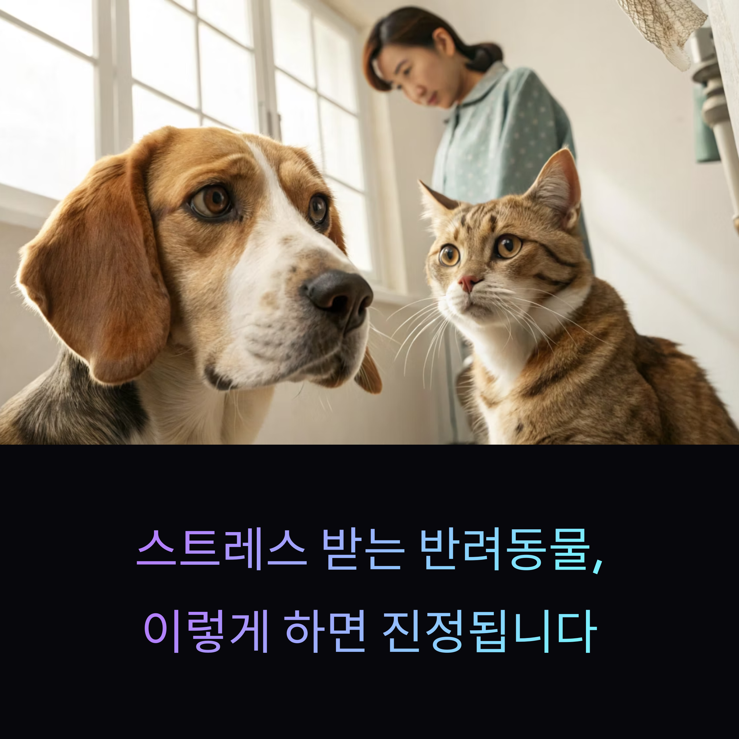 이렇게 하면 진정됩니다