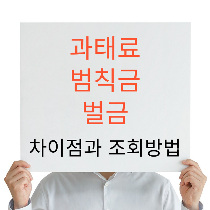 과태료 범칙금 벌금 차이점 조회