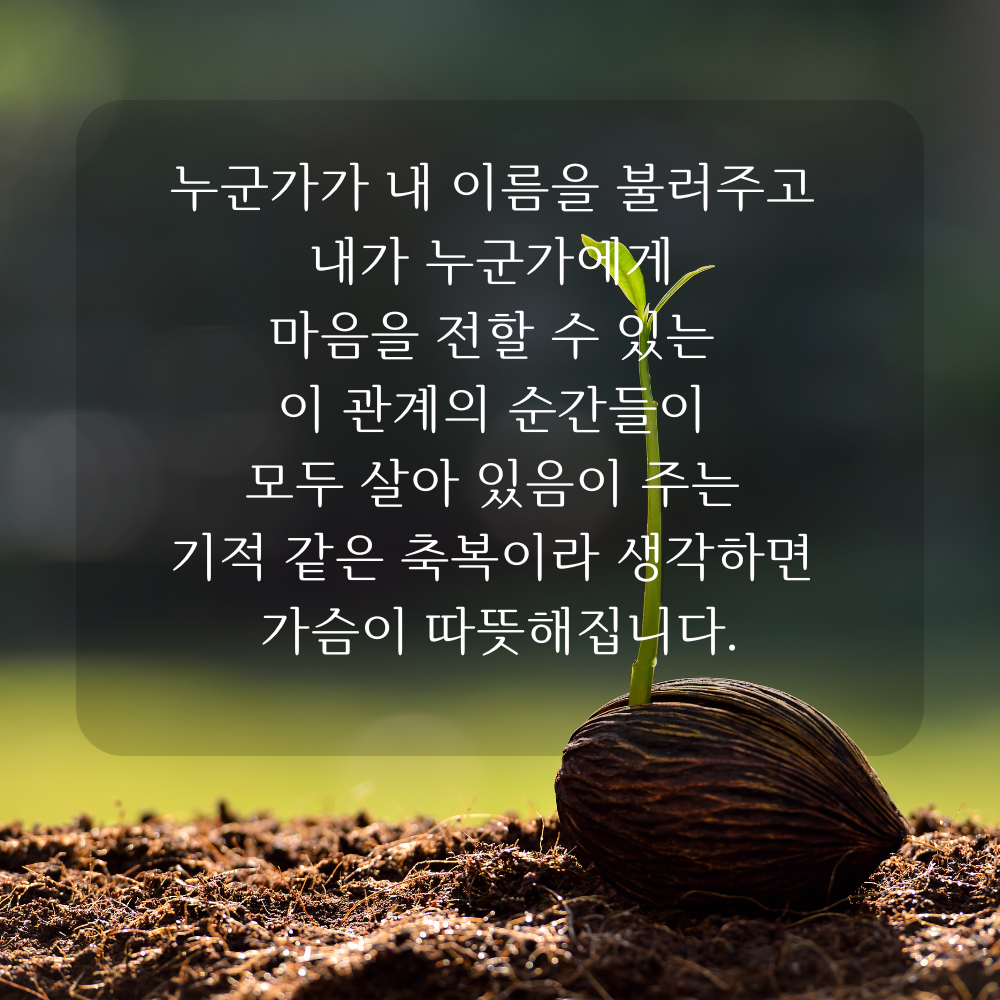 감사 글귀 좋은글 이미지 문구