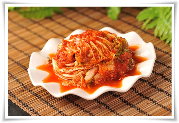 "김장 배추, 직접 길러보세요!" 초보자도 성공할 수 있는 쉬운 재배 가이드