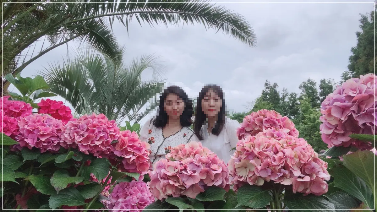 분홍색수국_여자2명_야자나무