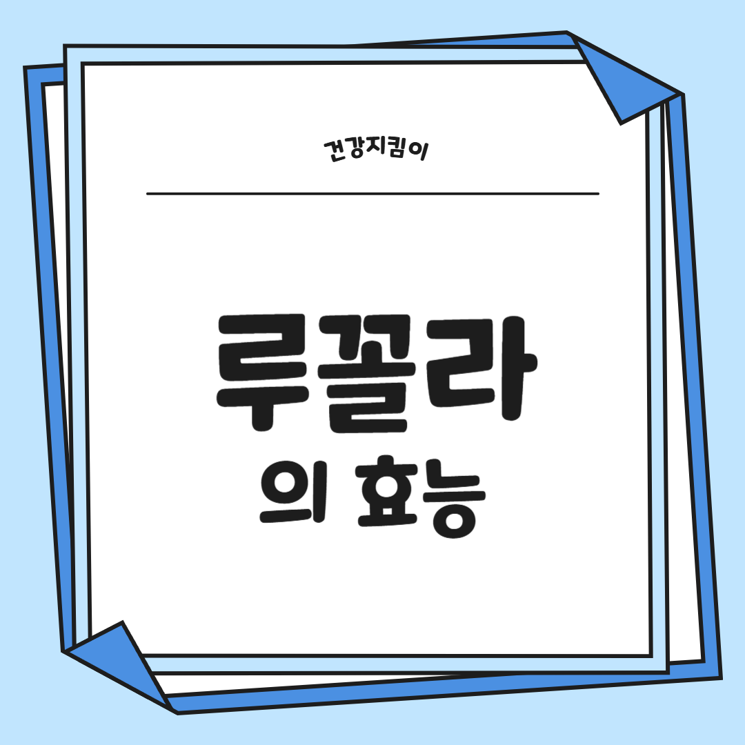 루꼴라 효능 부작용 영양성분 먹는법 고르는법 칼로리