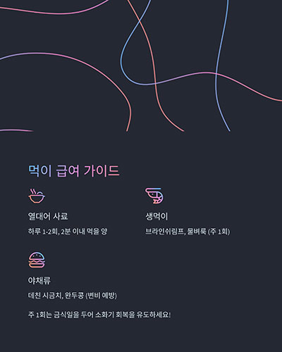 먹이 급여법: 다양한 먹이, 그러나 적절히