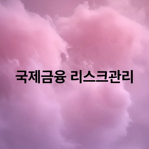 국제금융 리스크관리