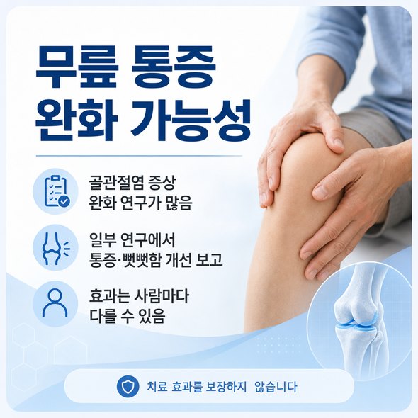 콘드로이친 효능 