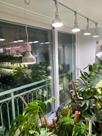 식물등 설치 위치높이 시간대설정 광량부족 해결 겨울철 성장 돕기_9