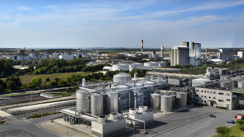 현대자동차의 바이오 기반 소재 연구, 천연염료 활용 전략, 탄소 저감형 복합소재