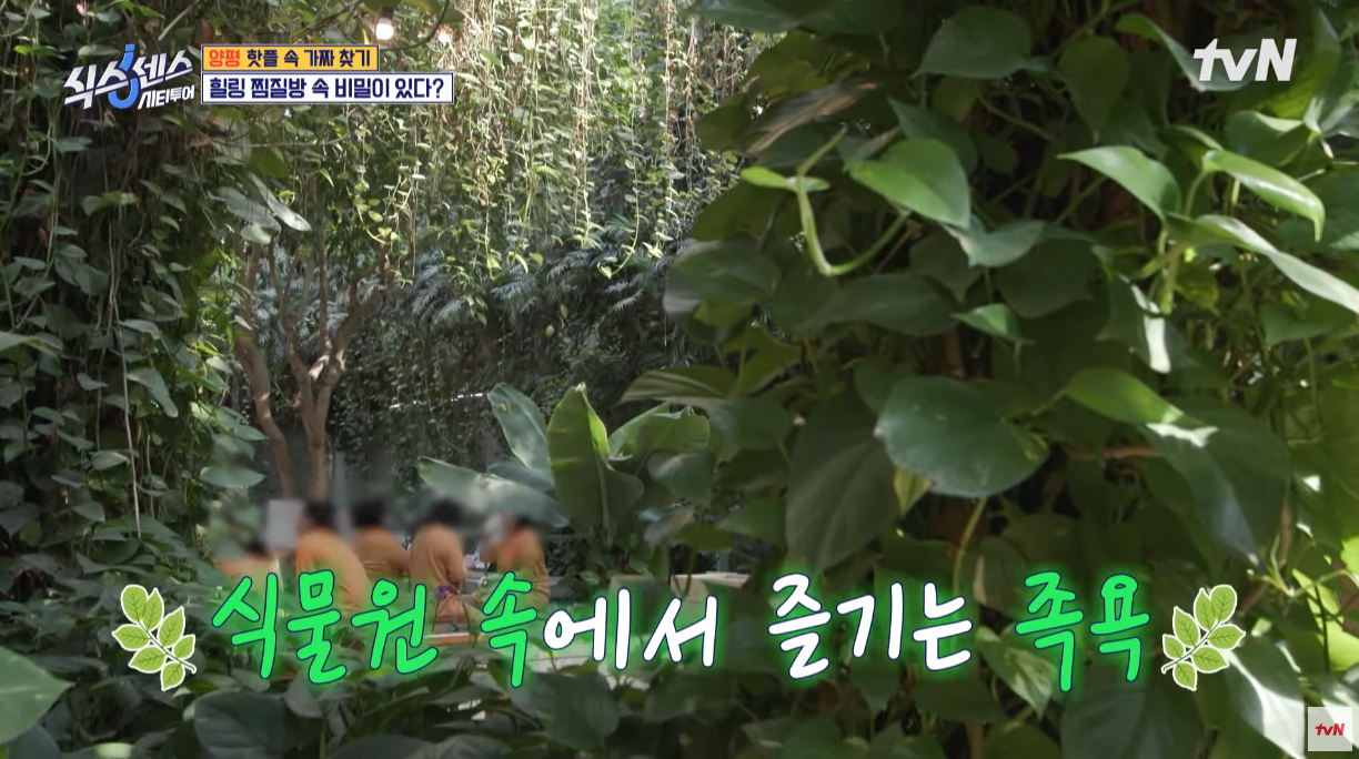 식스센스 예능 미리내힐빙클럽 방영 장면