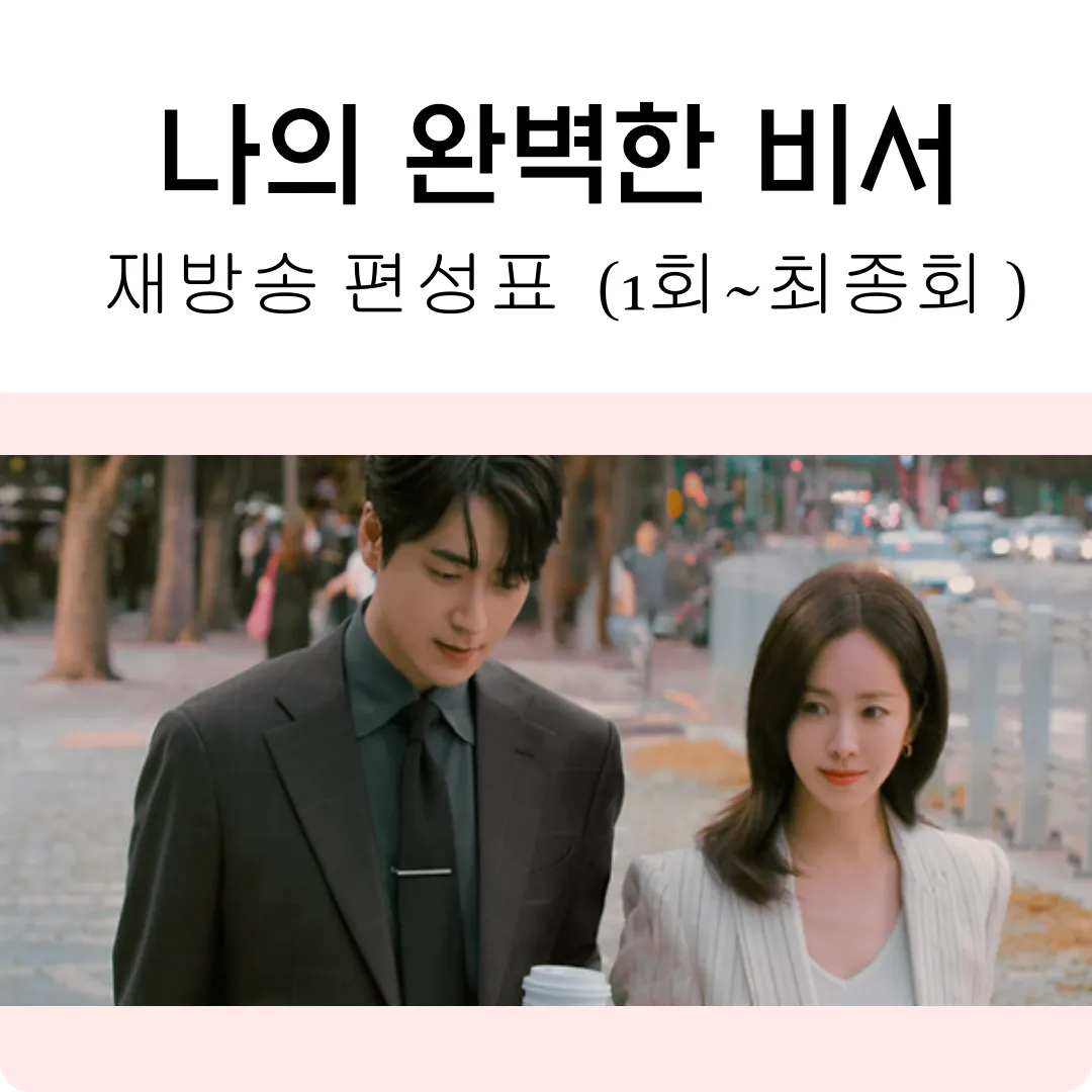 나의 완벽한 비서 나완비 재방송 편성표 몰아보기 다시보기 1회~최종회