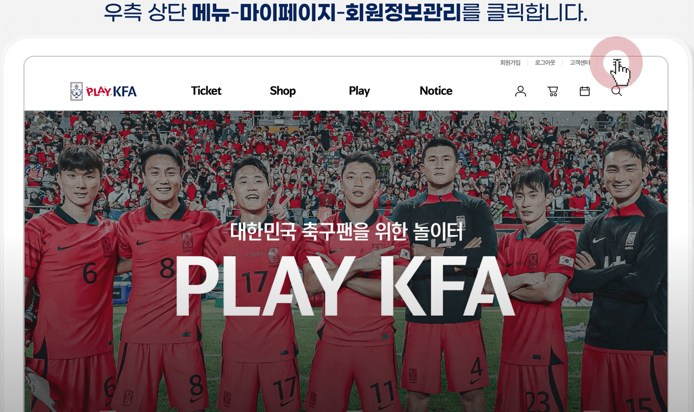 로그인 및 회원 정보 확인